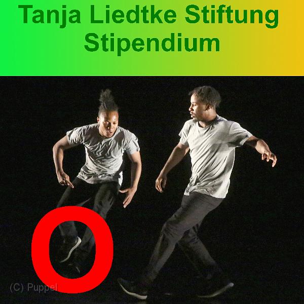 00-A_Tanja Liedtke Stiftung Stipendium__.jpg